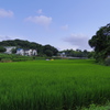 田んぼのある風景