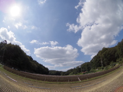 秋の恵み