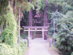 鎮守の杜にて