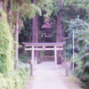 鎮守の杜にて