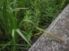 高いなぁ