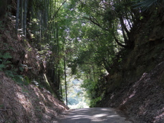 切り通しの向こうは・・・