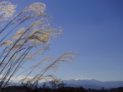 気持ちいい空