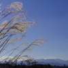 気持ちいい空