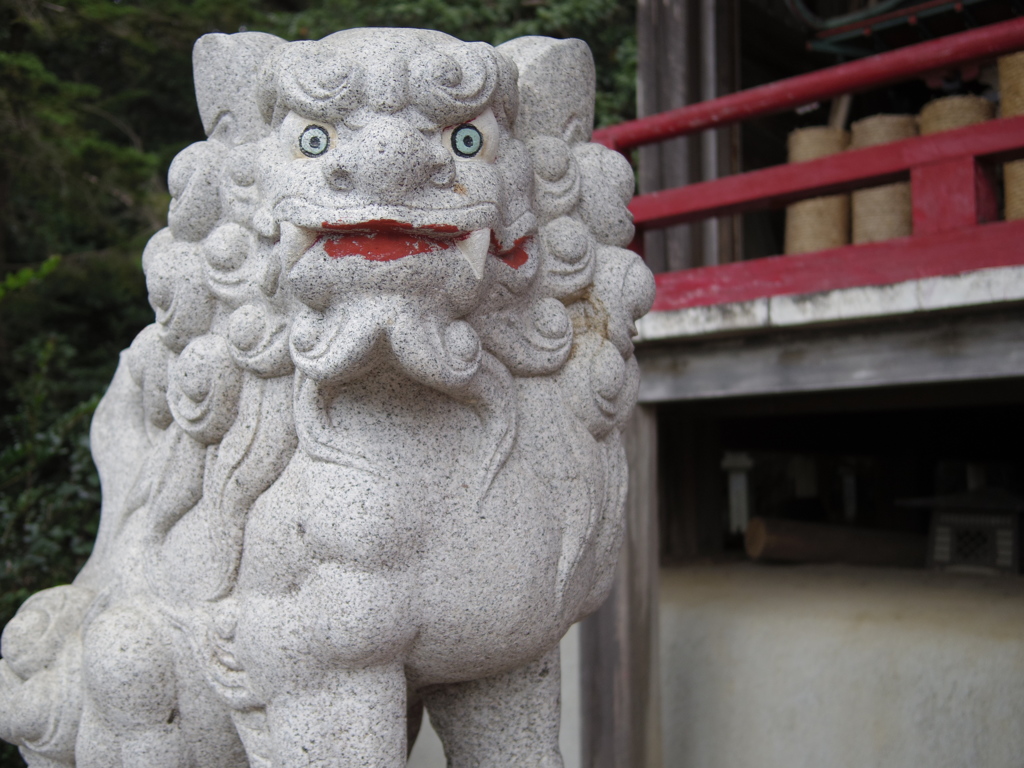眼力