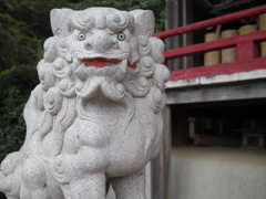 眼力