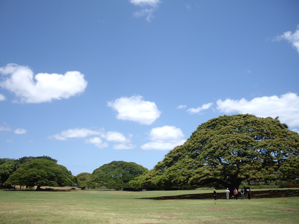 @Hawaii - III