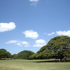 @Hawaii - III