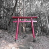 雑木林の鎮守。