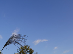 気持ちいい秋の空