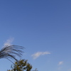 気持ちいい秋の空