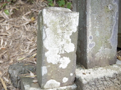 馬頭観音