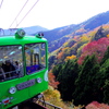 秋深し・・・大山にて