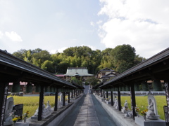 ずらっと勢揃い