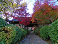 近所のお寺にて