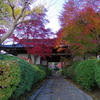 近所のお寺にて