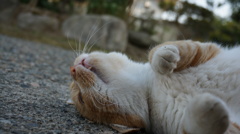 ごろ寝