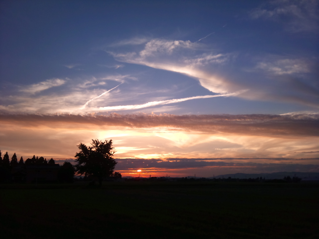 夕日