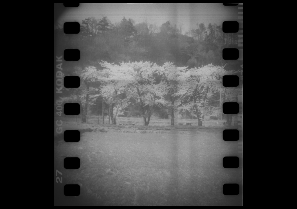 余花