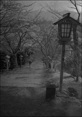 花舞う季節