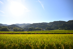 9月下旬大和民俗公園近辺にて