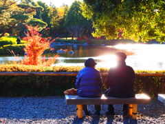 あたりまえの幸せ
