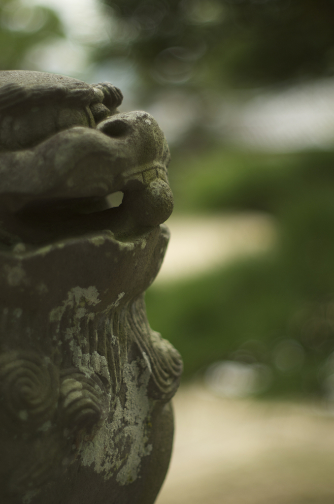 松陰神社狛犬