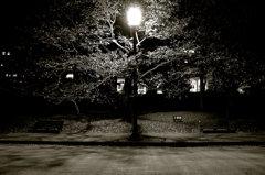 公園２