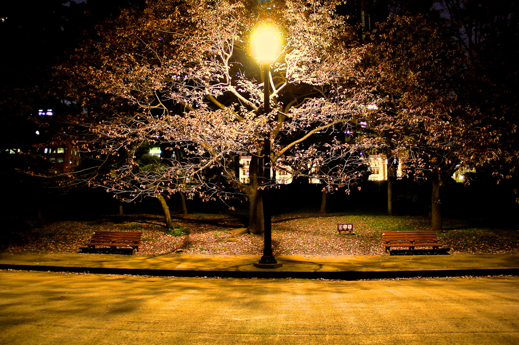 公園３