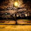 公園３