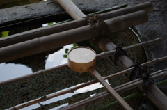IMGP0169