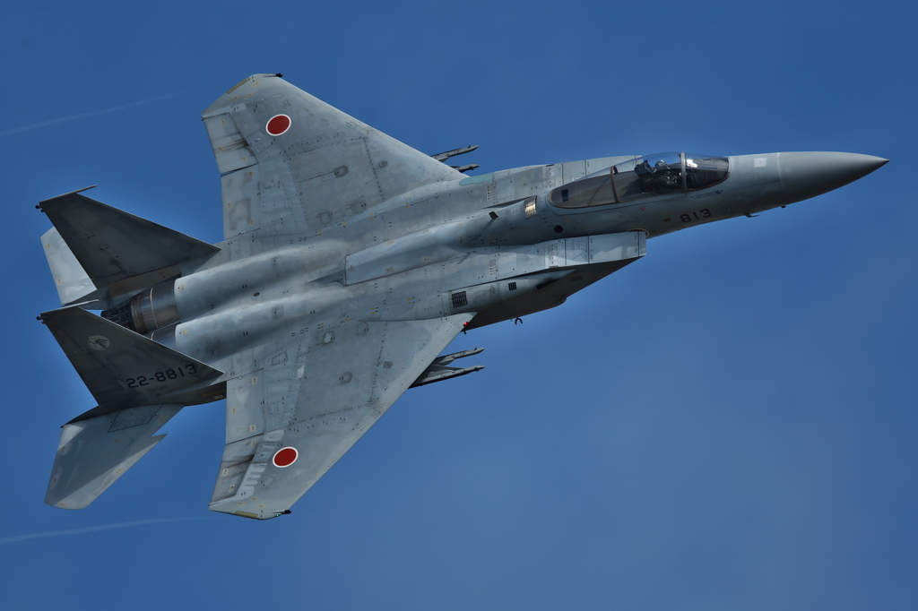 2007浜松基地航空祭F-15
