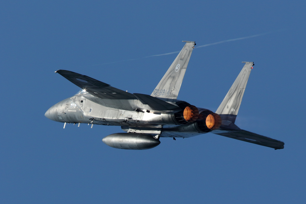 14岐阜基地航空祭　Ｆ-15 