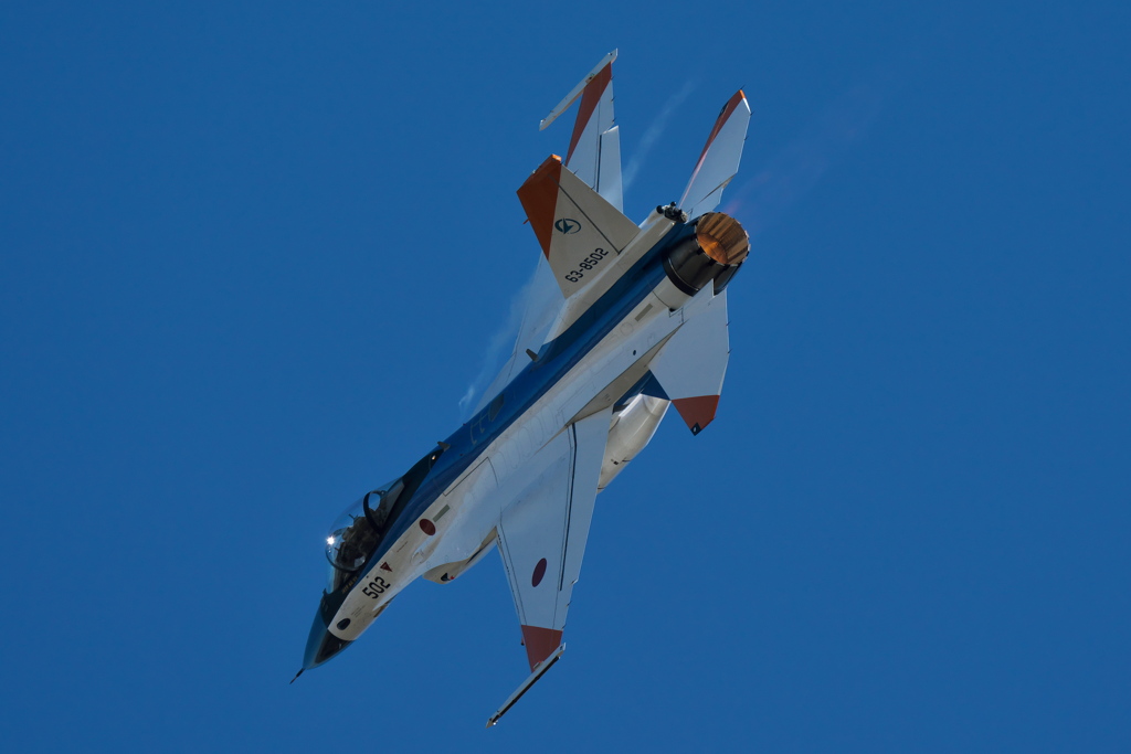 2019岐阜基地航空祭 F-2