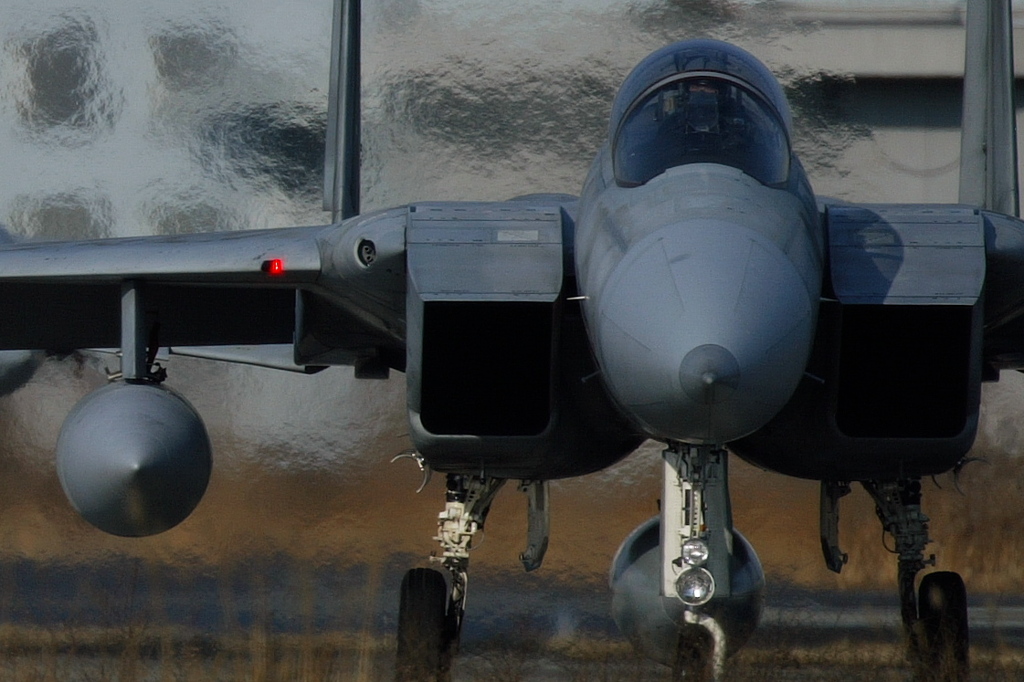 2004年岐阜基地ころがりF-15