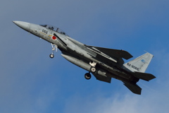 2008年岐阜基地航空祭F-15