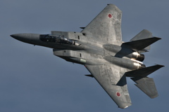 2004岐阜基地航空祭F-15