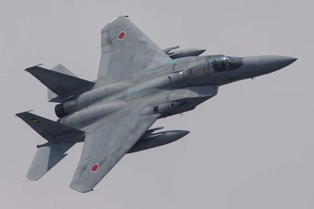 F-15　306sq 機動飛行by静浜