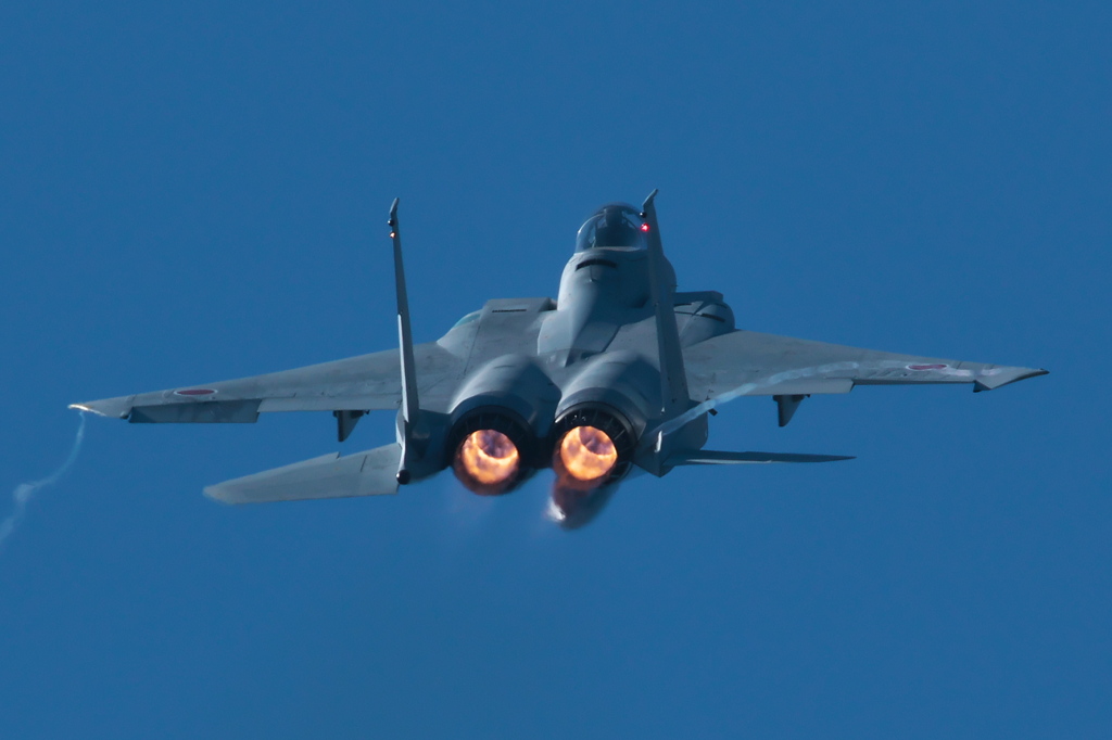2015岐阜基地航空祭F-15