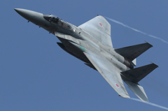 岐阜基地航空祭　F-15