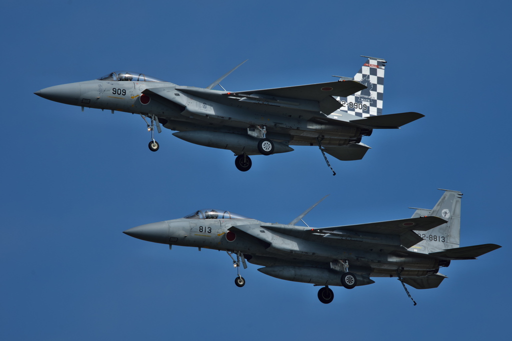 2007浜松基地航空祭F-15