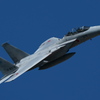 岐阜基地航空祭 F15