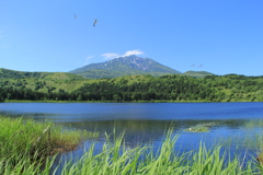 白い恋人の山