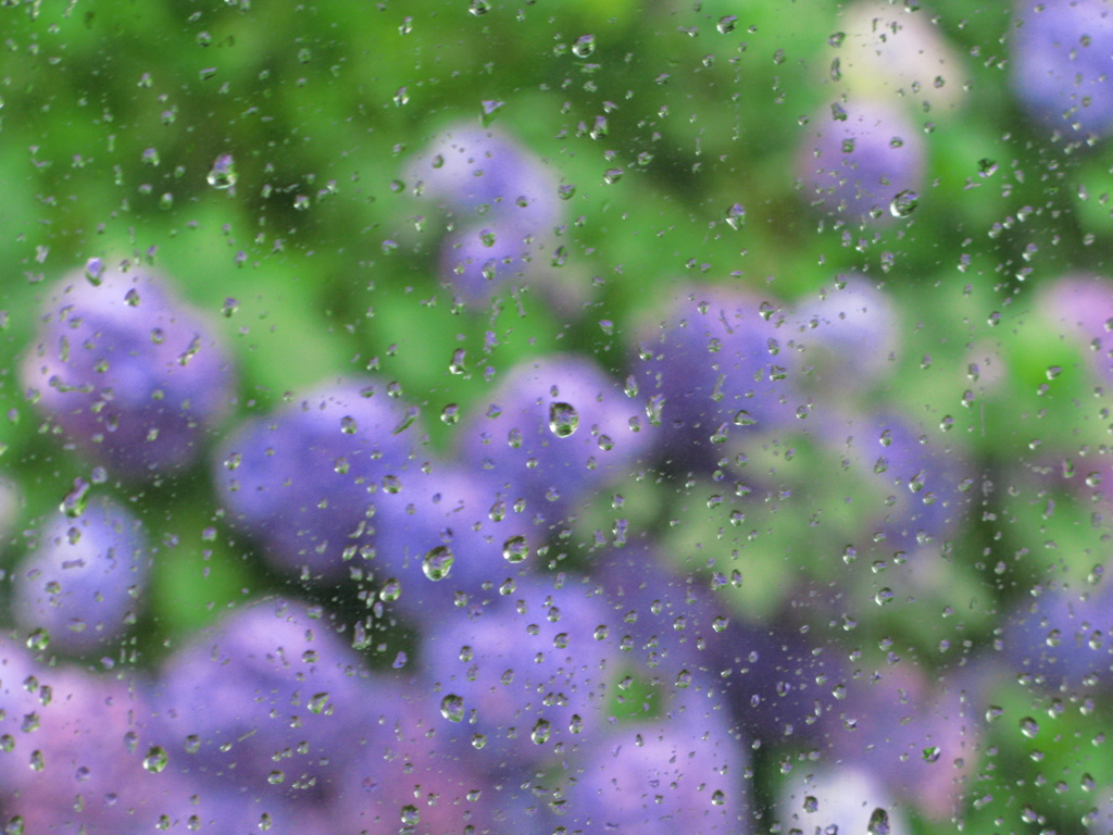 雨の景色　３