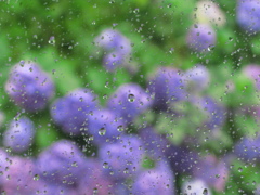 雨の景色　３
