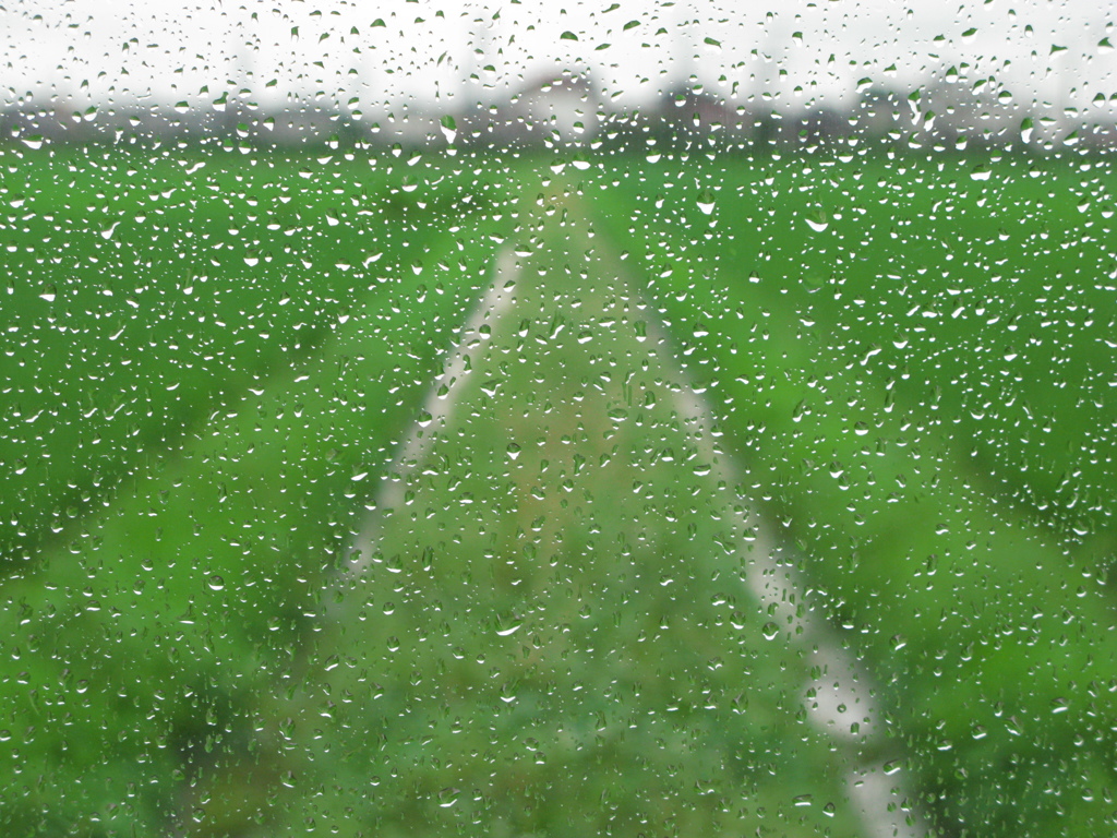 雨の景色　４