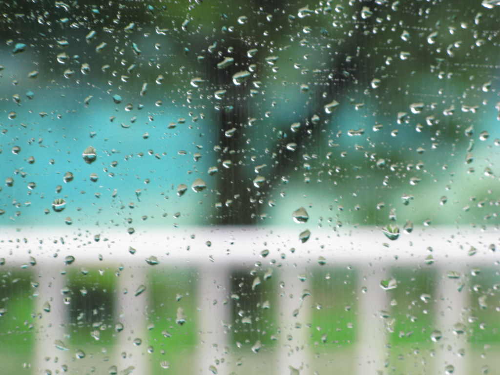 雨の景色　２