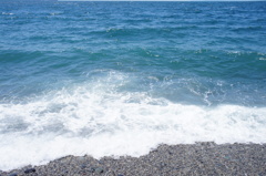 沼津の海