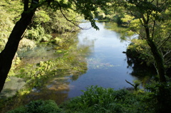 柿田川公園①