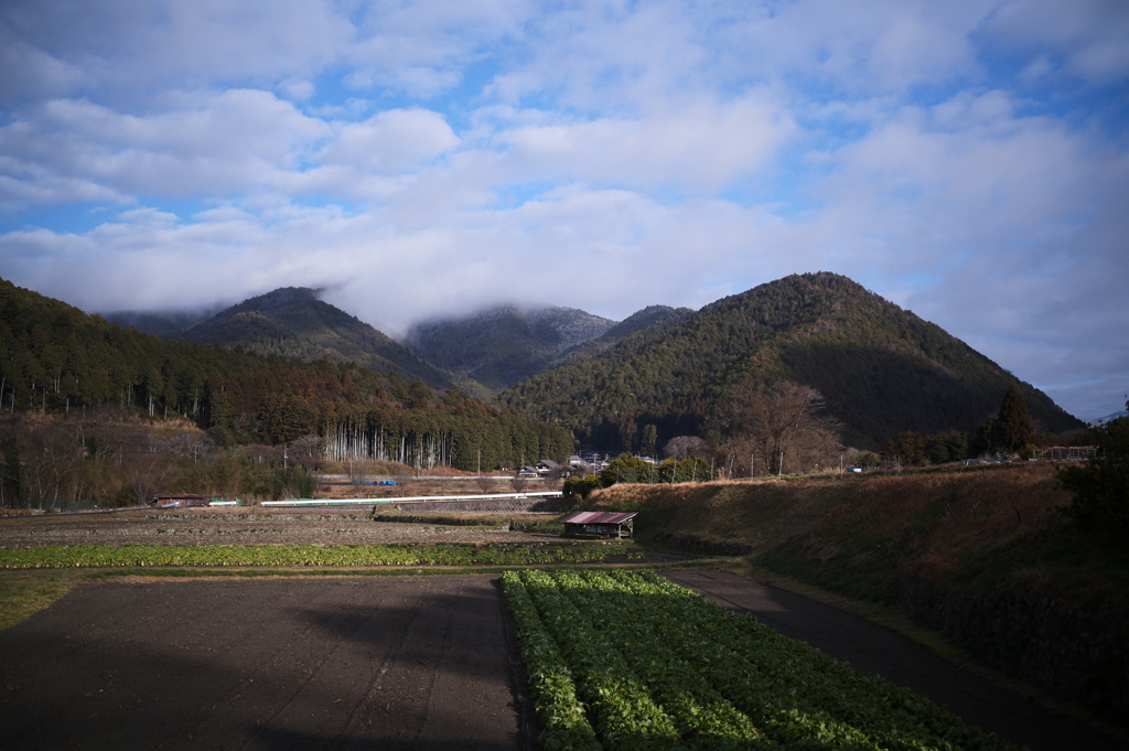 雲をまとう里山の朝